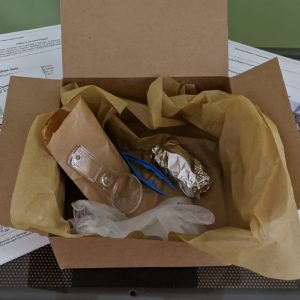 Contents of the owl pellet discovery kit