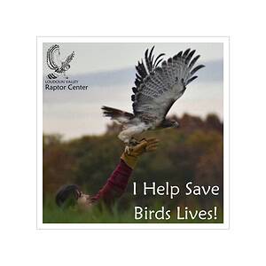 Raptor Rescue Square Sticker — "I Help Save Birds Lives!"