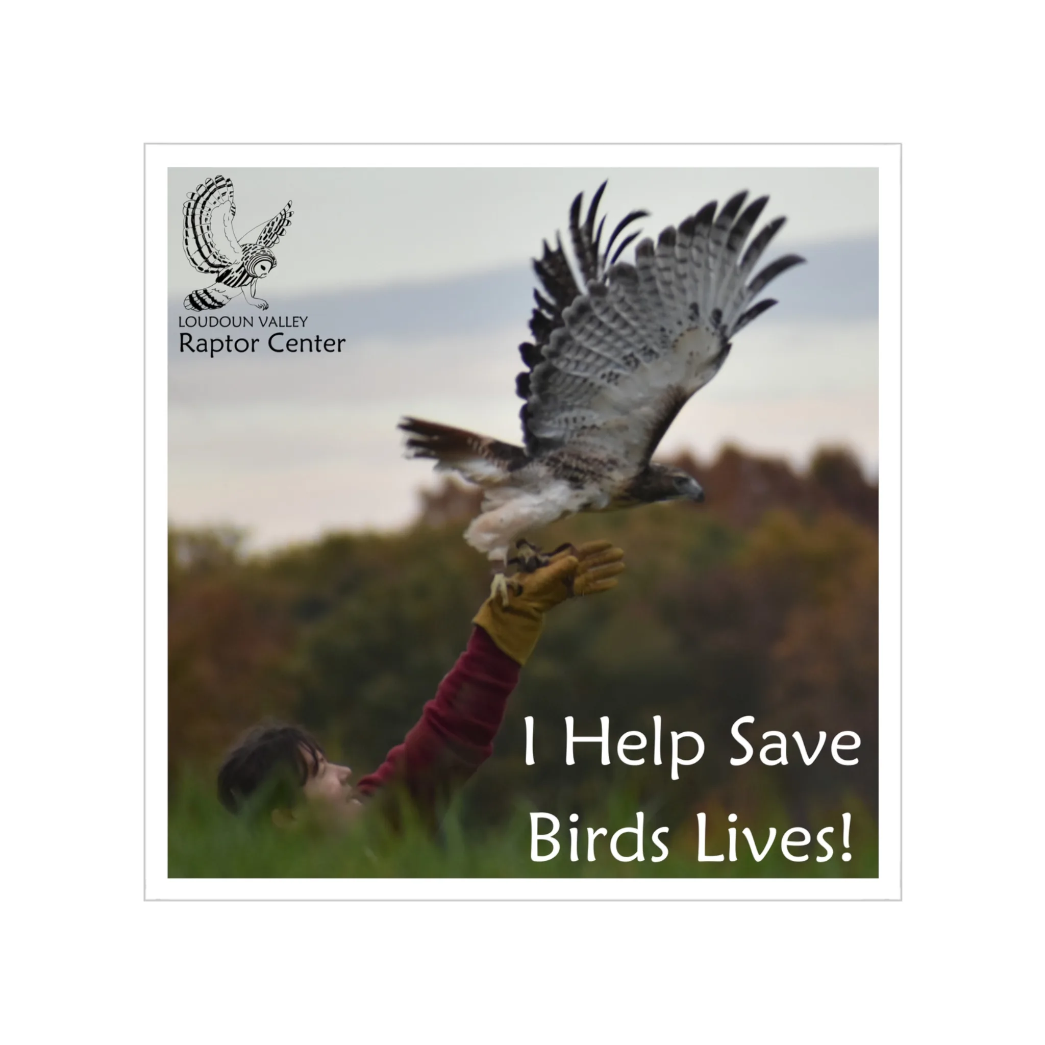 Raptor Rescue Square Sticker — "I Help Save Birds Lives!" - Image 4
